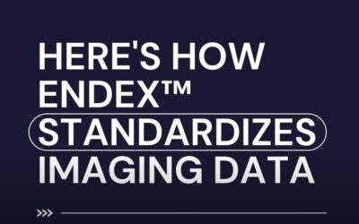 Explainer Video – How We Standardize Data